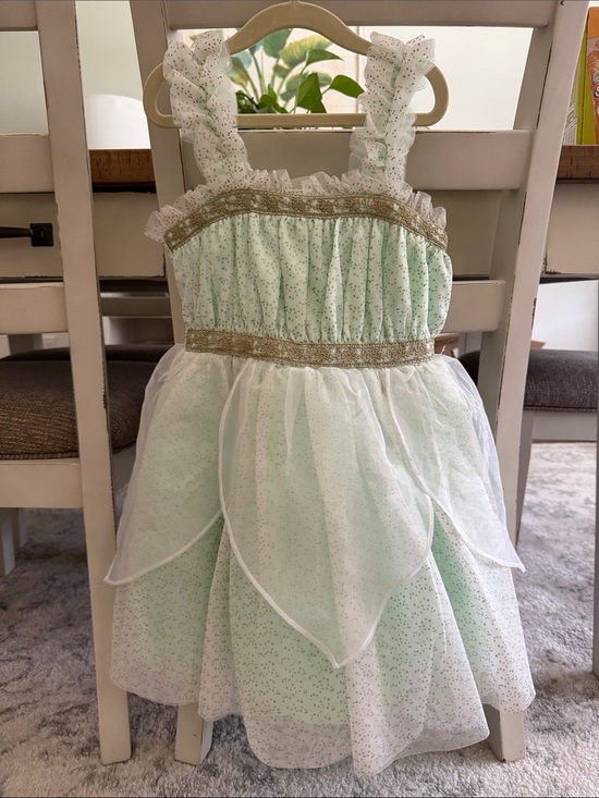 Janie and Jack Other - Disney x Janie and Jack Tinkerbell Dress